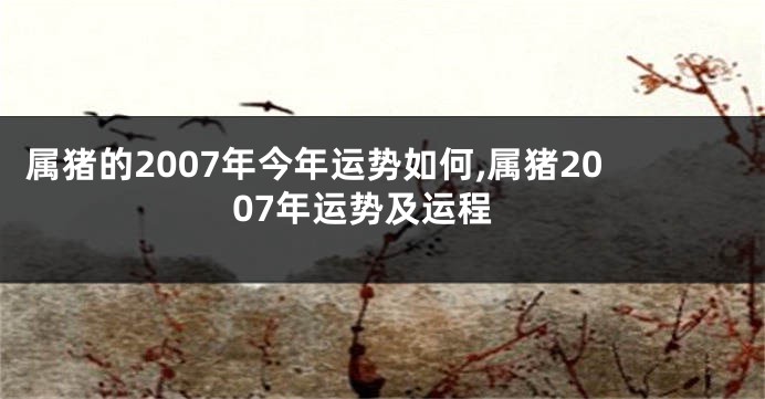 属猪的2007年今年运势如何,属猪2007年运势及运程