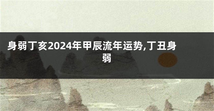 身弱丁亥2024年甲辰流年运势,丁丑身弱