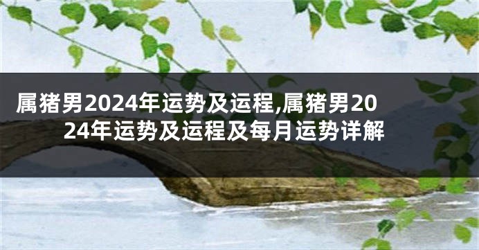 属猪男2024年运势及运程,属猪男2024年运势及运程及每月运势详解