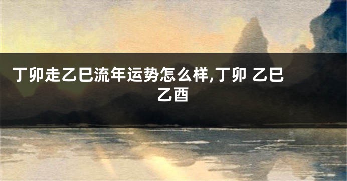 丁卯走乙巳流年运势怎么样,丁卯 乙巳 乙酉