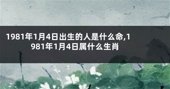 1981年1月4日出生的人是什么命,1981年1月4日属什么生肖