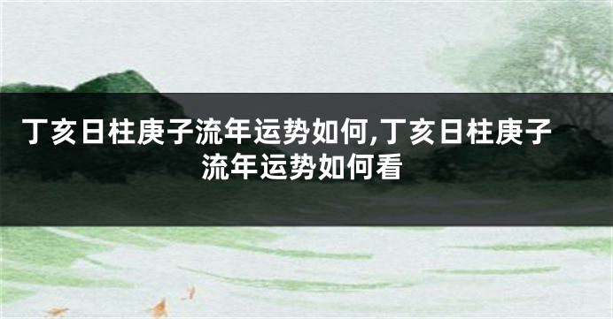 丁亥日柱庚子流年运势如何,丁亥日柱庚子流年运势如何看