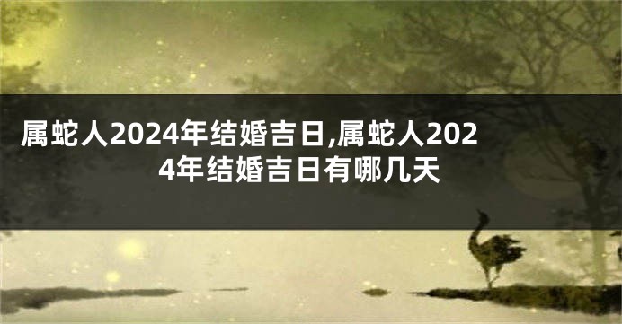 属蛇人2024年结婚吉日,属蛇人2024年结婚吉日有哪几天