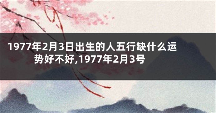 1977年2月3日出生的人五行缺什么运势好不好,1977年2月3号