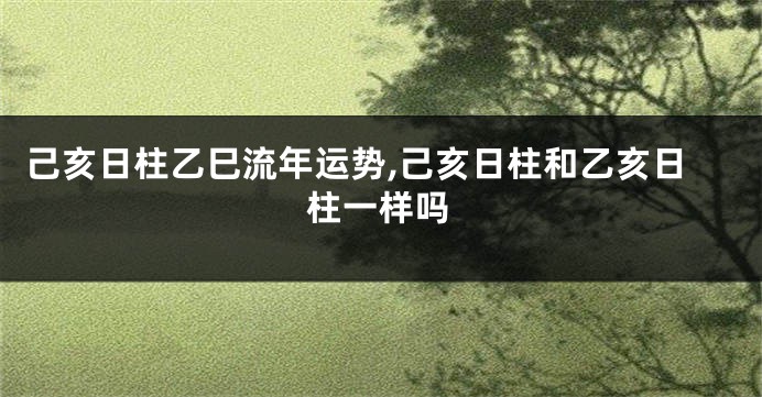 己亥日柱乙巳流年运势,己亥日柱和乙亥日柱一样吗