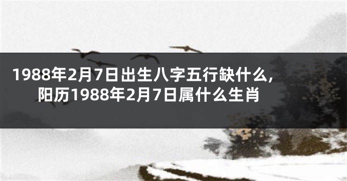 1988年2月7日出生八字五行缺什么,阳历1988年2月7日属什么生肖