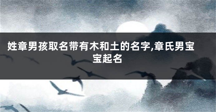 姓章男孩取名带有木和土的名字,章氏男宝宝起名