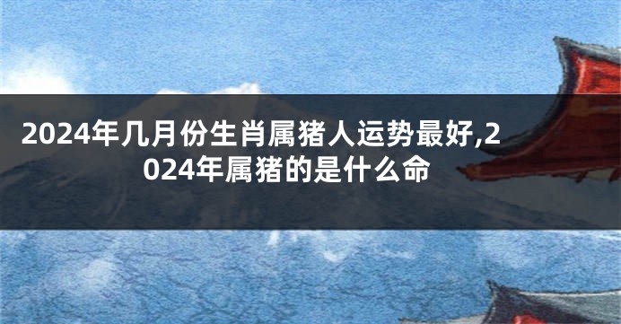 2024年几月份生肖属猪人运势最好,2024年属猪的是什么命