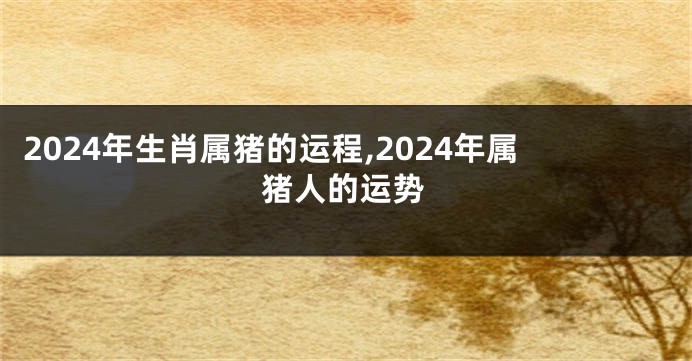 2024年生肖属猪的运程,2024年属猪人的运势