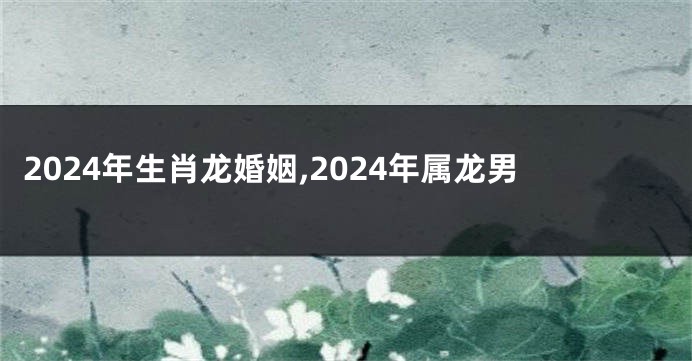 2024年生肖龙婚姻,2024年属龙男