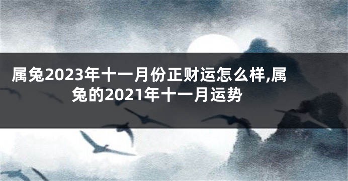 属兔2023年十一月份正财运怎么样,属兔的2021年十一月运势