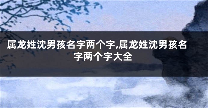 属龙姓沈男孩名字两个字,属龙姓沈男孩名字两个字大全