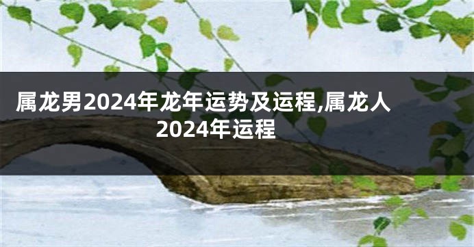 属龙男2024年龙年运势及运程,属龙人2024年运程