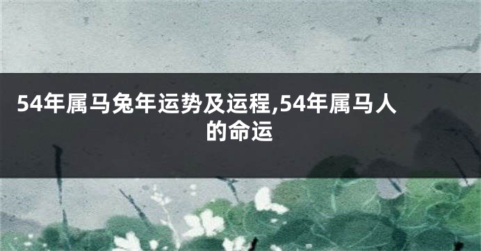 54年属马兔年运势及运程,54年属马人的命运