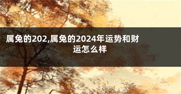 属兔的202,属兔的2024年运势和财运怎么样