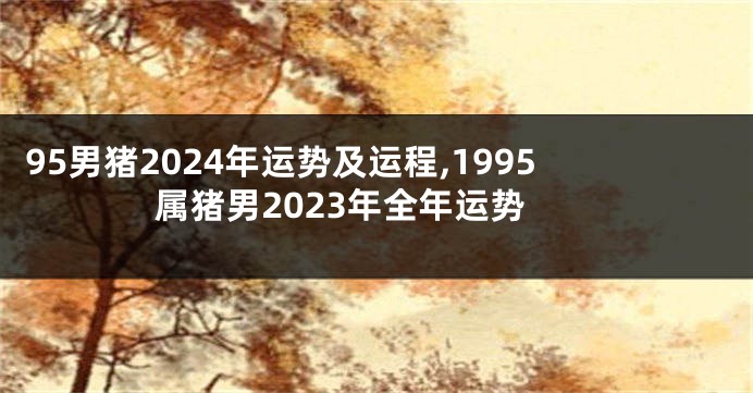 95男猪2024年运势及运程,1995属猪男2023年全年运势