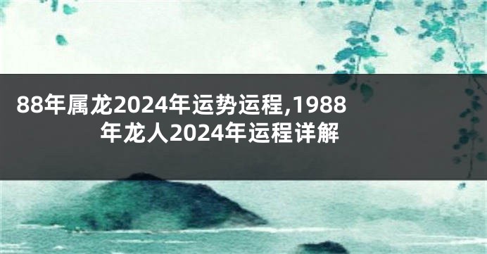 88年属龙2024年运势运程,1988年龙人2024年运程详解