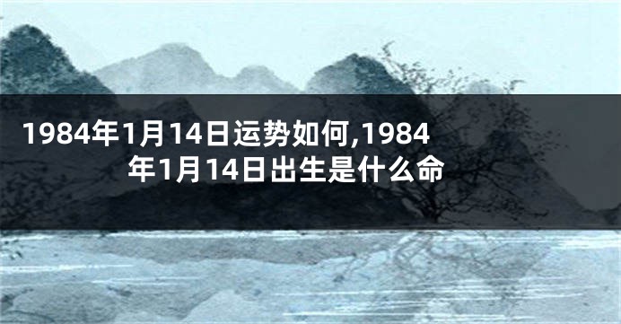 1984年1月14日运势如何,1984年1月14日出生是什么命