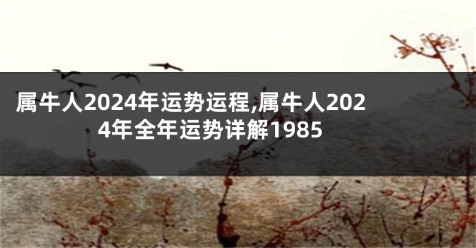 属牛人2024年运势运程,属牛人2024年全年运势详解1985