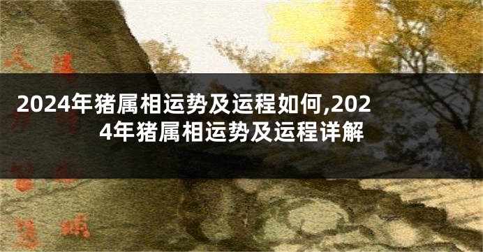 2024年猪属相运势及运程如何,2024年猪属相运势及运程详解