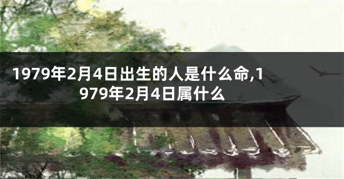 1979年2月4日出生的人是什么命,1979年2月4日属什么