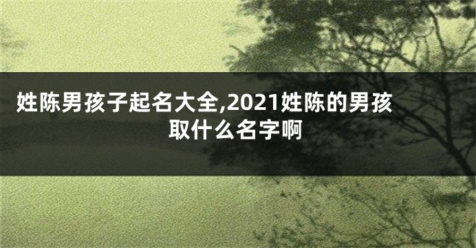 姓陈男孩子起名大全,2021姓陈的男孩取什么名字啊