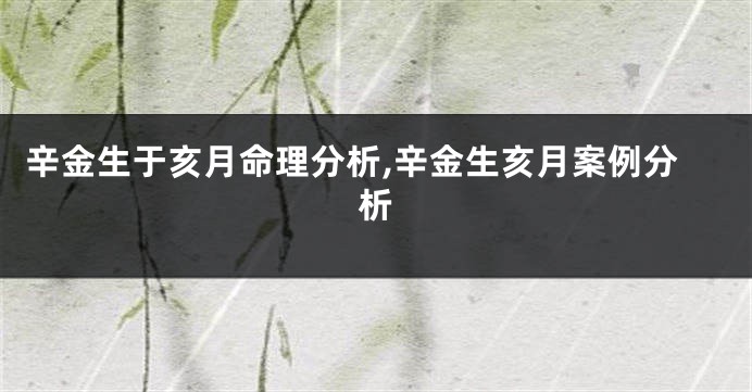 辛金生于亥月命理分析,辛金生亥月案例分析