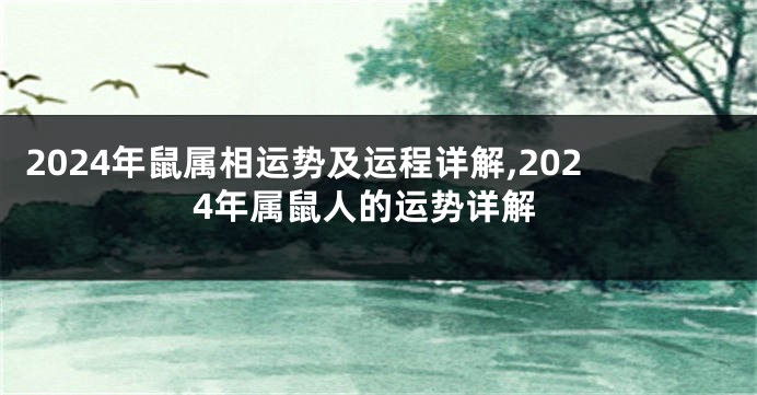 2024年鼠属相运势及运程详解,2024年属鼠人的运势详解