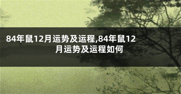 84年鼠12月运势及运程,84年鼠12月运势及运程如何