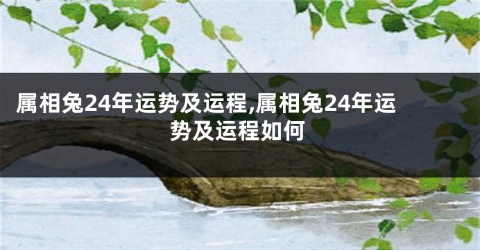 属相兔24年运势及运程,属相兔24年运势及运程如何