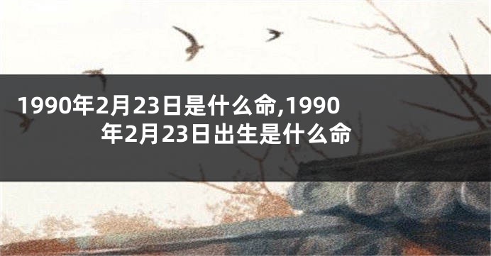 1990年2月23日是什么命,1990年2月23日出生是什么命