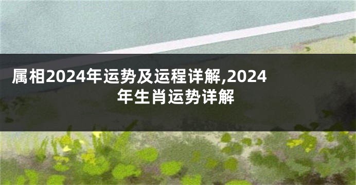 属相2024年运势及运程详解,2024年生肖运势详解