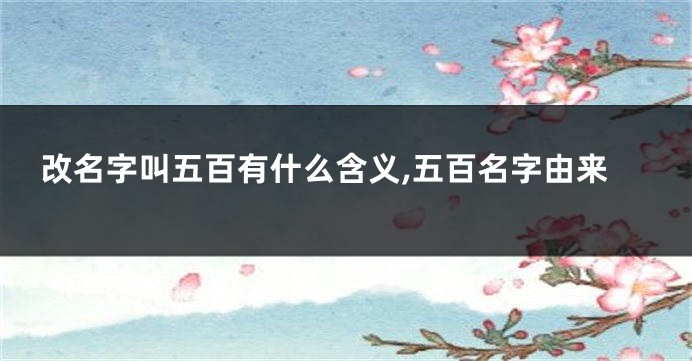 改名字叫五百有什么含义,五百名字由来