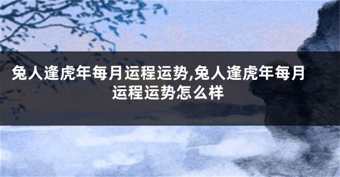 兔人逢虎年每月运程运势,兔人逢虎年每月运程运势怎么样