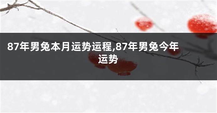 87年男兔本月运势运程,87年男兔今年运势