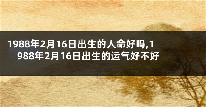 1988年2月16日出生的人命好吗,1988年2月16日出生的运气好不好