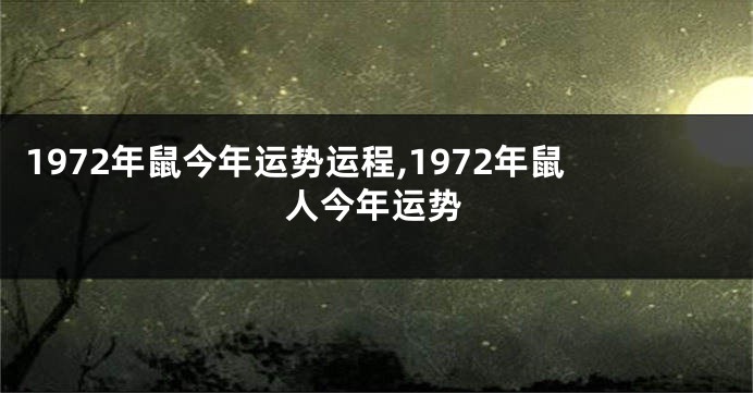 1972年鼠今年运势运程,1972年鼠人今年运势