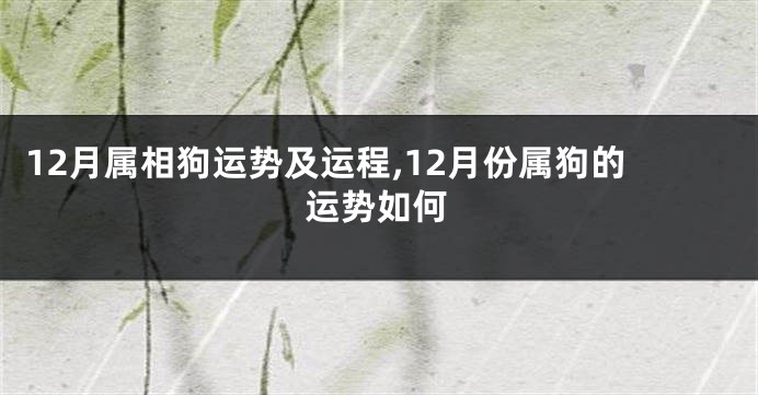 12月属相狗运势及运程,12月份属狗的运势如何