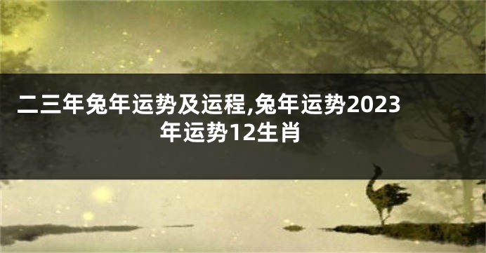 二三年兔年运势及运程,兔年运势2023年运势12生肖