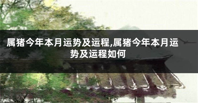 属猪今年本月运势及运程,属猪今年本月运势及运程如何