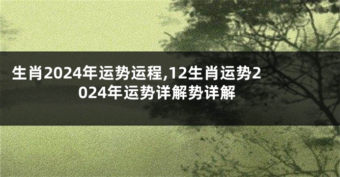 生肖2024年运势运程,12生肖运势2024年运势详解势详解