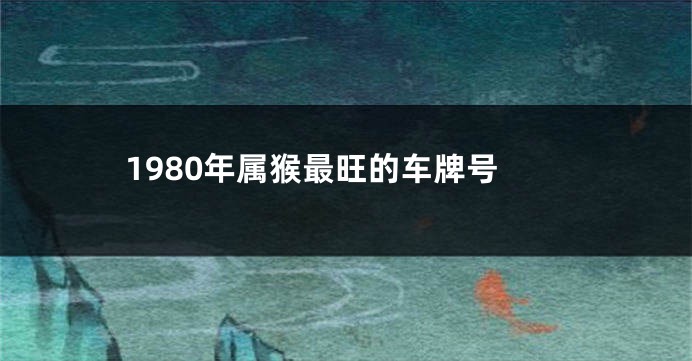 1980年属猴最旺的车牌号