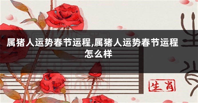 属猪人运势春节运程,属猪人运势春节运程怎么样