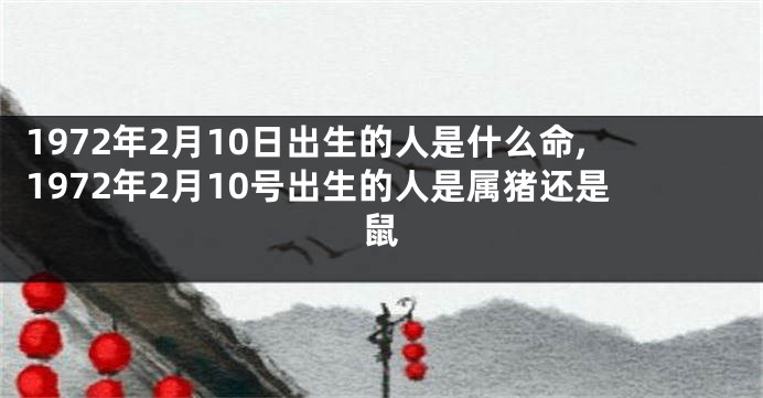 1972年2月10日出生的人是什么命,1972年2月10号出生的人是属猪还是鼠