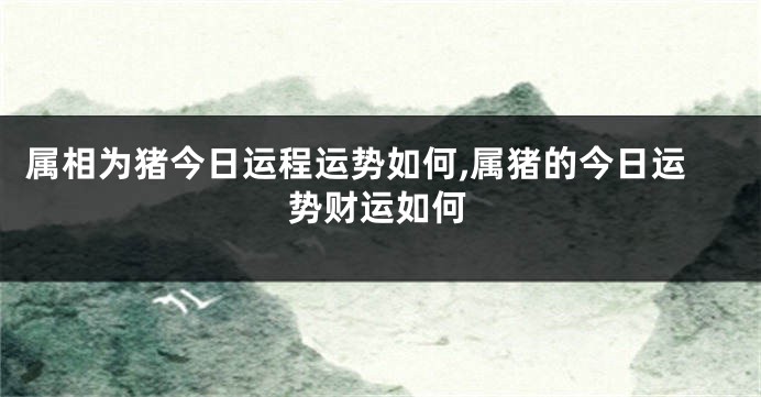 属相为猪今日运程运势如何,属猪的今日运势财运如何