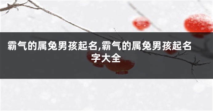 霸气的属兔男孩起名,霸气的属兔男孩起名字大全