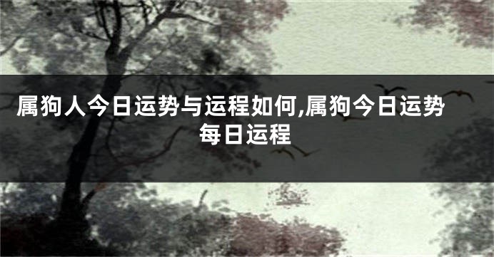 属狗人今日运势与运程如何,属狗今日运势每日运程