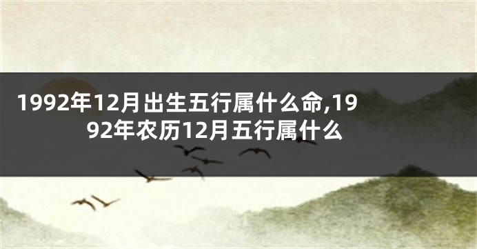 1992年12月出生五行属什么命,1992年农历12月五行属什么