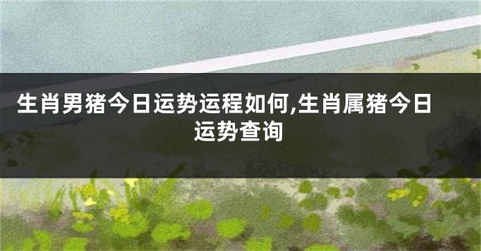 生肖男猪今日运势运程如何,生肖属猪今日运势查询