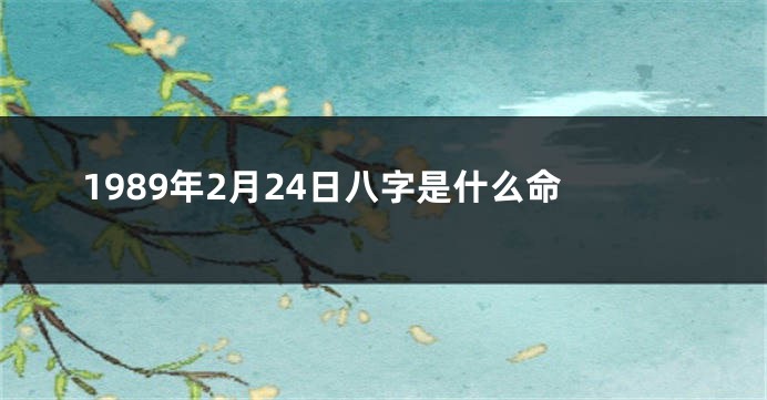 1989年2月24日八字是什么命